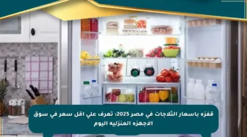 قفزة بأسعار الثلاجات في مصر 2025: تعرف على أقل سعر في سوق الأجهزة المنزلية اليوم